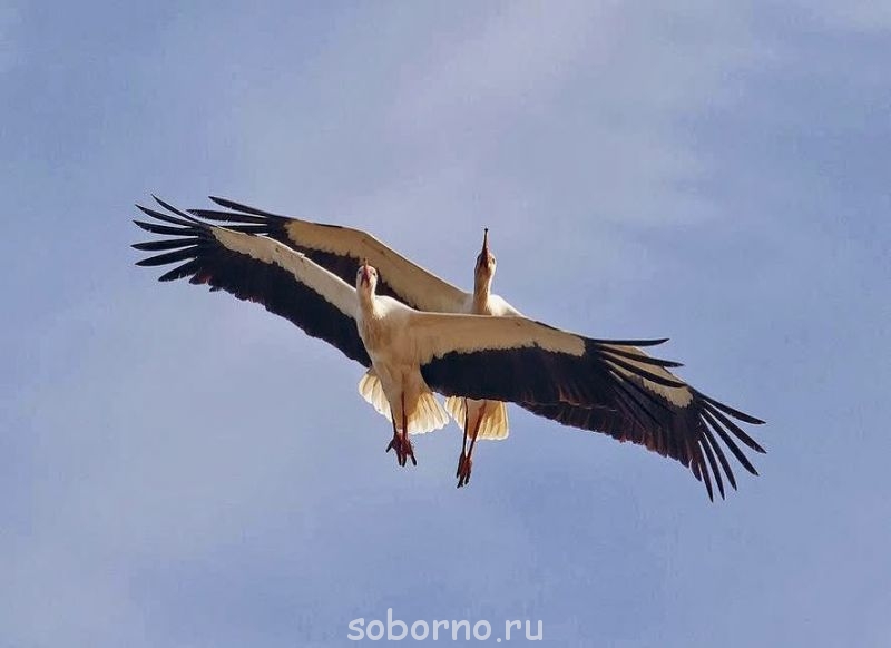 Добрые картинки - getImage (15).jpg