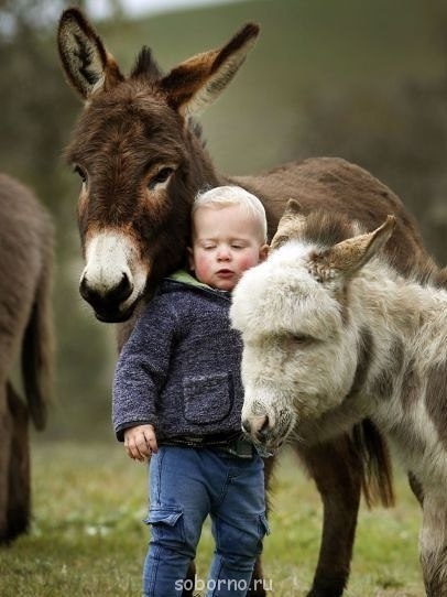 Добрые картинки - 1TTpNMH19BM.jpg