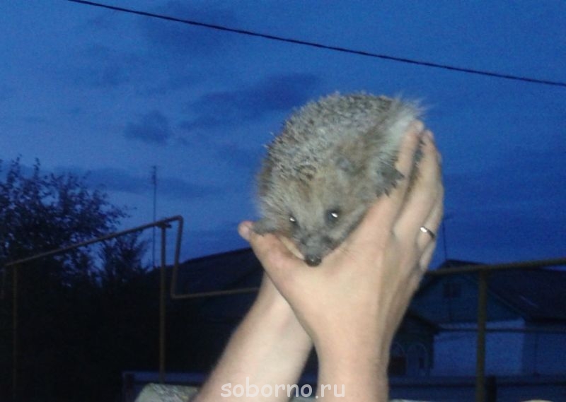 Добрые картинки - 20140512_212525.jpg