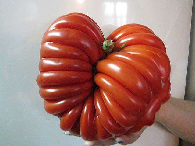 Просто интересное - getImage.jpeg