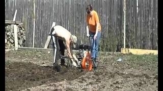 Наша дача и приусадебный участок - image.jpg