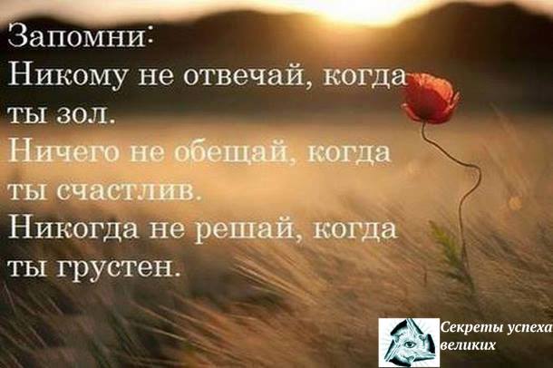 Мудрые мысли мудрых людей - 1907640_479814892152023_3920012428114845933_n.jpg