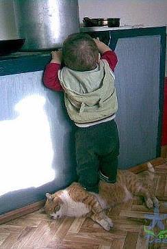 Они такие забавные смешные фото и видео  - 1794670_873747172652247_9020106188358429832_n.jpg