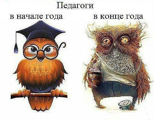 Вопросы школьного образования - image.jpeg