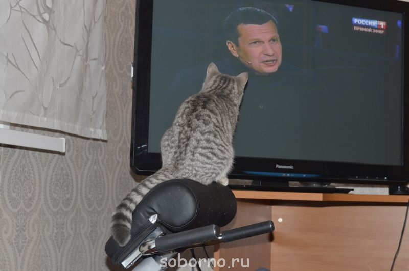 смотрим телевизор, 6 мес. - 040.JPG