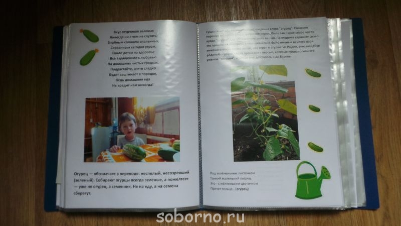 Маме в копилку - 20140918_051904.JPG