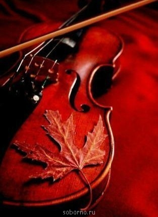 Доброе утро и Спокойной ночи  - lUd2r7Wx3Os.jpg