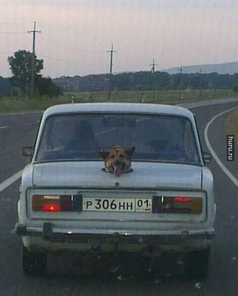 Автоюмор - 10612597_350545878428746_5041323525539981295_n.jpg