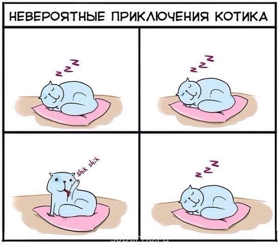 С улыбкой о многом =  - котик.jpg