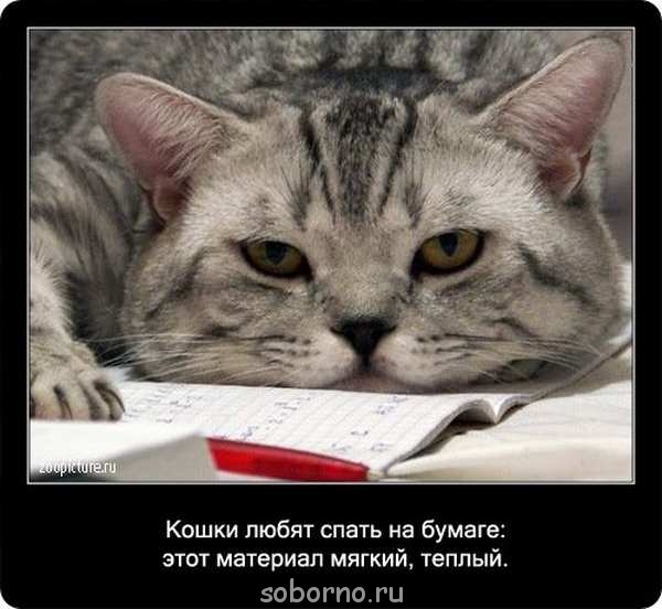 Это интересно - 20.jpg