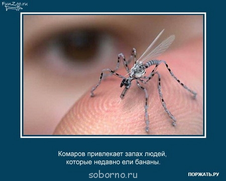 Это интересно - 1241465027_6.jpg