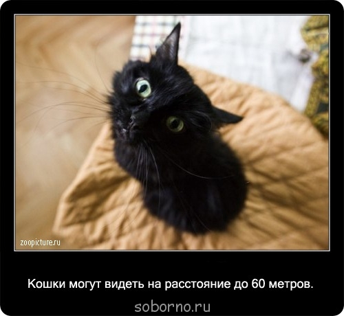 Это интересно - 11.jpg