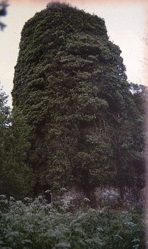 Запад - их нравы  - 189376.p.jpg