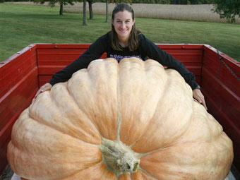 Учительница из Огайо вырастила 782-килограммовую тыкву - .jpg