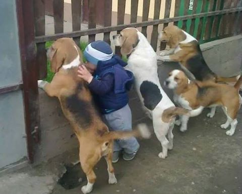 Маму ждём  - 10690151_743719049046438_4878972448317011260_n.jpg