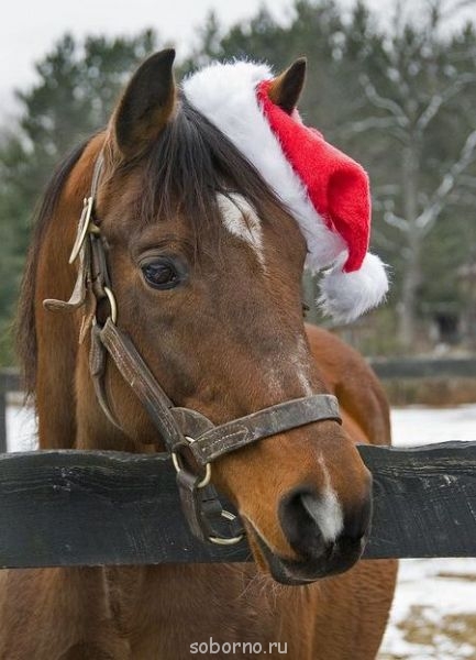 Доброе утро и Спокойной ночи  - e3WYMder_lQ.jpg