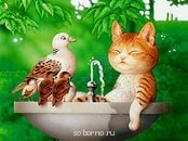 Они такие забавные смешные фото и видео  - В мире животных (27).jpg