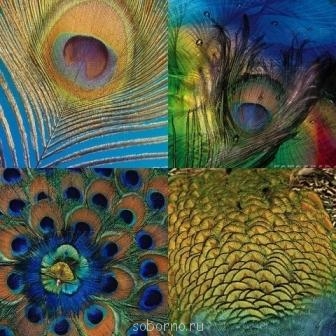 Аватар, аватар, аватар.... - 80347851_16.jpg