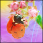 Аватар, аватар, аватар.... - 99px_ru_avatar_132999_Bojja_korovka_na_cvetah.jpg