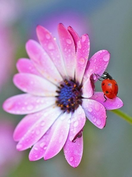 Аватар, аватар, аватар.... - A4LbUWqj25Y[1].jpg