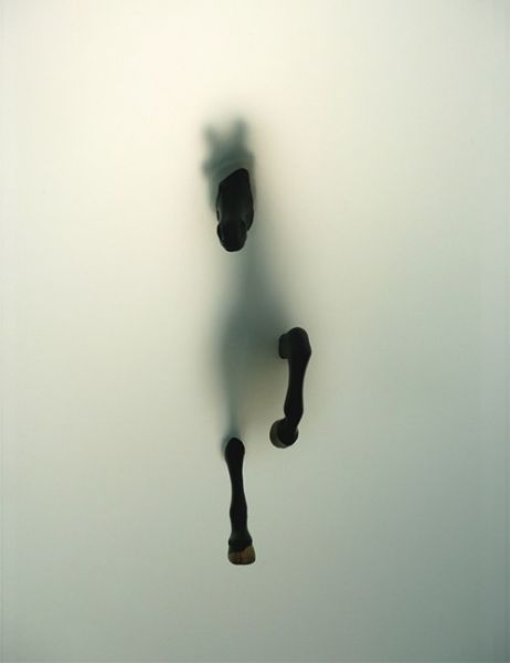 Аватар, аватар, аватар.... - DplH0xGyNm0[1].jpg