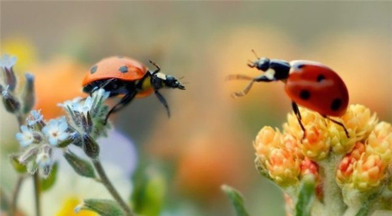 Аватар, аватар, аватар.... - e3gprUrbUF0[1].jpg