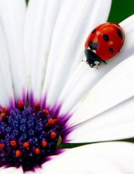 Аватар, аватар, аватар.... - 2YhuMmDCgUk[1].jpg