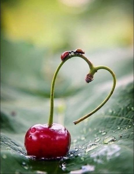 Аватар, аватар, аватар.... - bmfAgw_sbdE[1].jpg