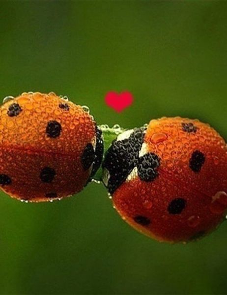 Аватар, аватар, аватар.... - NIhQev92uCc[1].jpg