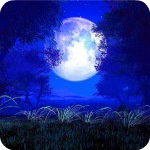 Аватар, аватар, аватар.... - 99px_ru_avatar_147423_polnaja_luna_na_nebe_posredi_derevev.jpg