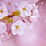 Аватар, аватар, аватар.... - vesna201[1].gif