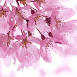 Аватар, аватар, аватар.... - vesna204[1].gif