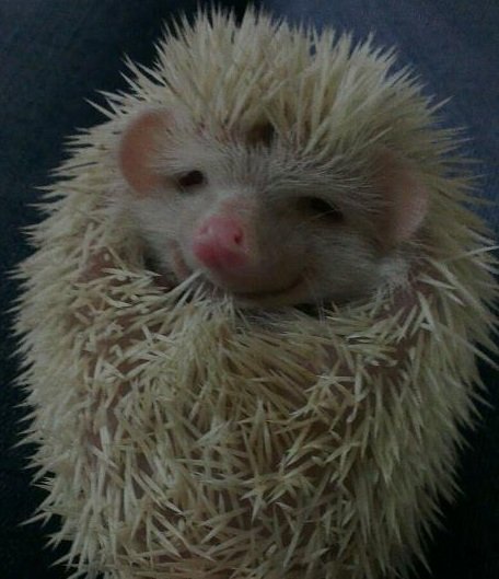 Аватар, аватар, аватар.... - a2347085aec7[1].jpg