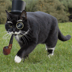 Аватар, аватар, аватар.... - 99px_ru_avatar_154142_chernaja_koshka_idet_po_polu.gif