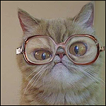 Аватар, аватар, аватар.... - 99px_ru_avatar_164029_rijaja_koshka_persidskoj_porodi_v_ochkah.jpg