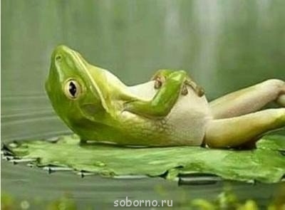 Аватар, аватар, аватар.... - image.jpg