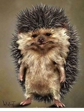 Аватар, аватар, аватар.... - image.jpg