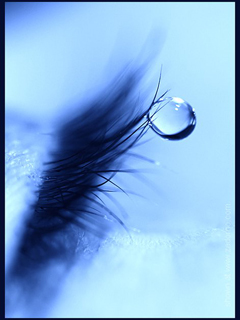 Аватар, аватар, аватар.... - 82242-320.jpg