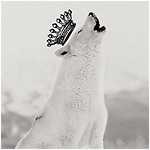 Эта мне кого-то напоминает....  - 99px_ru_avatar_167955_belij_volk_voet_nad_ego_golovoj_parit_korona.jpg