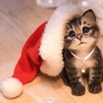 Аватар, аватар, аватар.... - image.jpg