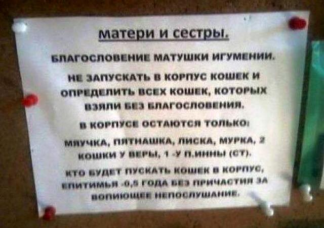 С улыбкой о многом =  - 10940451_4868739011569_7774792324353772295_n.jpg