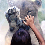 Аватар, аватар, аватар.... - 2.gif