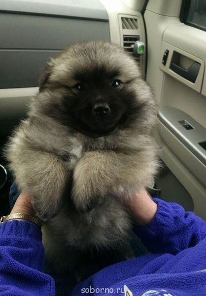 Добрые картинки - image.jpg