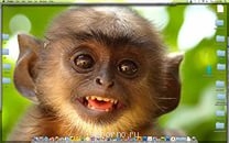 Аватар, аватар, аватар.... - B.jpg