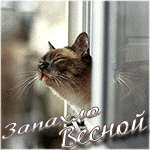 Аватар, аватар, аватар.... - 1.gif