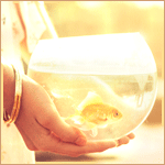 Аватар, аватар, аватар.... - 1531299.gif