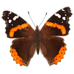 Аватар, аватар, аватар.... - e9db14dac3cd.gif