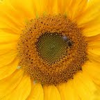 С ДНЁМ РОЖДЕНИЯ  - IMG_5514.jpg