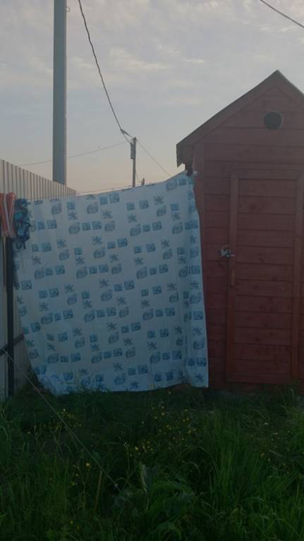 Наша дача и приусадебный участок - DSC_0006.JPG