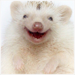 Аватар, аватар, аватар.... - 99px_ru_avatar_173598_ocharovatelnij_ejik_ulibaetsja.jpg